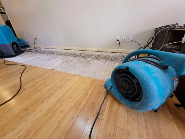 Professional Emergency Water Damage technician working in Wilmerding, PA